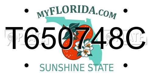 T650748C Florida License Plate