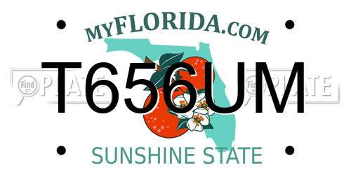 T656UM Florida License Plate