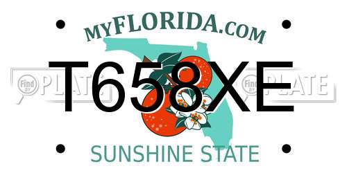 T658XE Florida License Plate