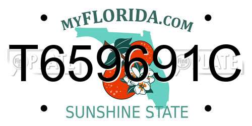 T659691C Florida License Plate