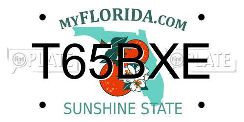T65BXE Florida License Plate