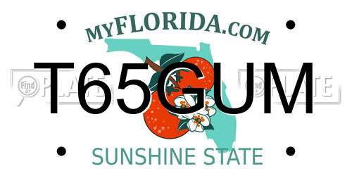 T65GUM Florida License Plate