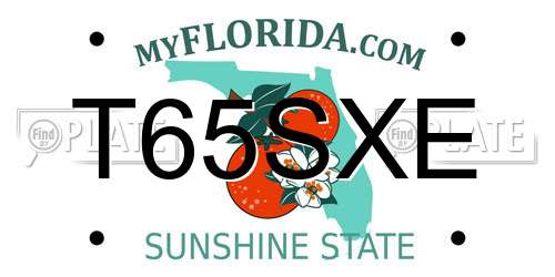 T65SXE Florida License Plate