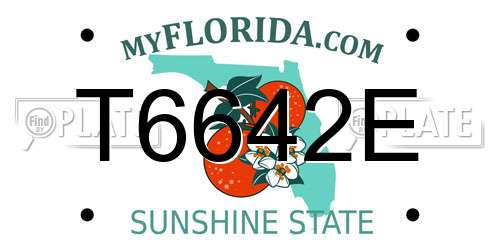 T6642E Florida License Plate