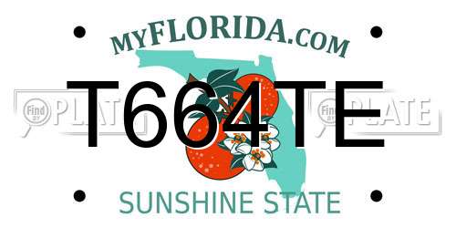 T664TE Florida License Plate
