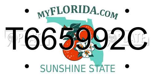 T665992C Florida License Plate