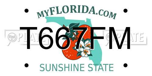 T667FM Florida License Plate
