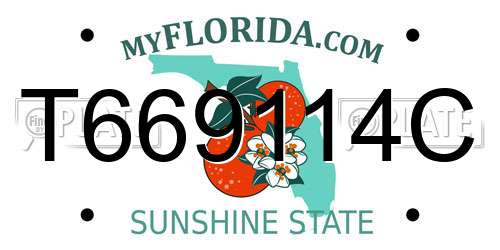 T669114C Florida License Plate
