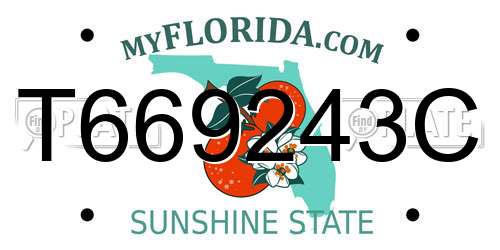 T669243C Florida License Plate