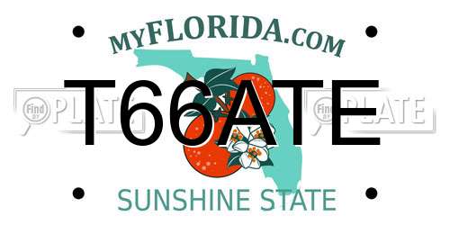 T66ATE Florida License Plate
