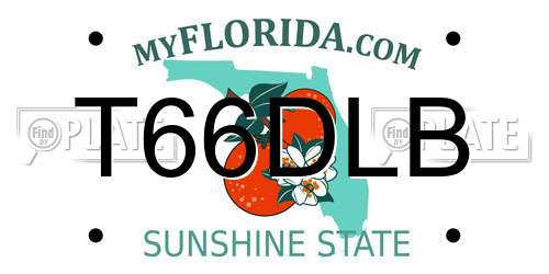 T66DLB Florida License Plate