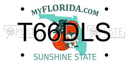 T66DLS Florida License Plate