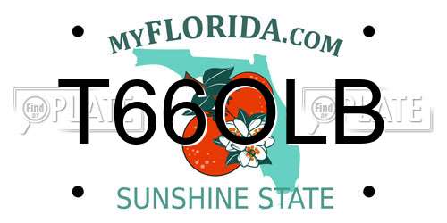 T66OLB Florida License Plate