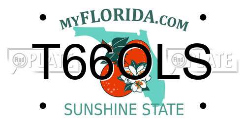 T66OLS Florida License Plate