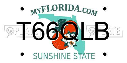 T66QLB Florida License Plate