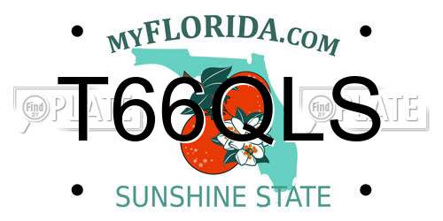 T66QLS Florida License Plate