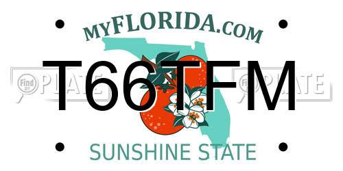 T66TFM Florida License Plate