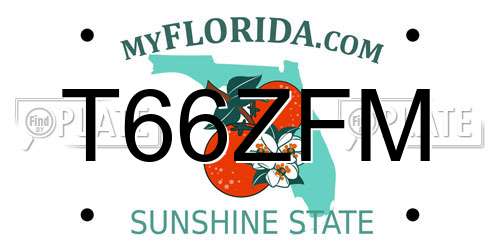 T66ZFM Florida License Plate