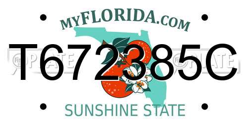 T672385C Florida License Plate