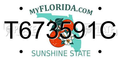 T673591C Florida License Plate