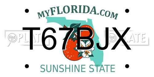T67BJX Florida License Plate