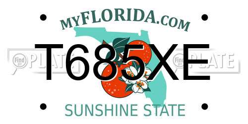 T685XE Florida License Plate