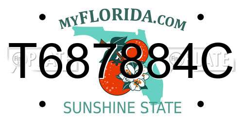 T687884C Florida License Plate