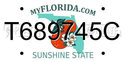T689745C Florida License Plate