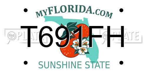 T691FH Florida License Plate