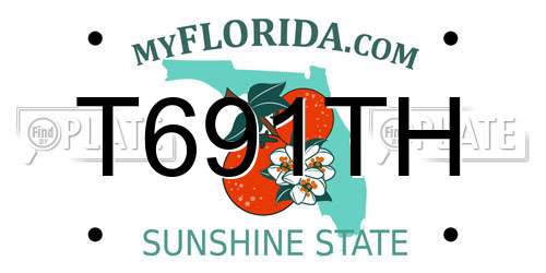 T691TH Florida License Plate