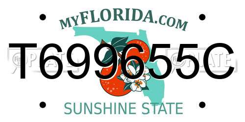 T699655C Florida License Plate