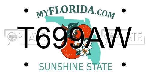 T699AW Florida License Plate