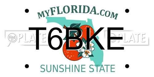 T6BKE Florida License Plate