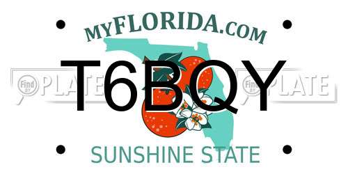 T6BQY Florida License Plate