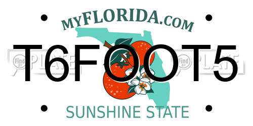 T6FOOT5 Florida License Plate