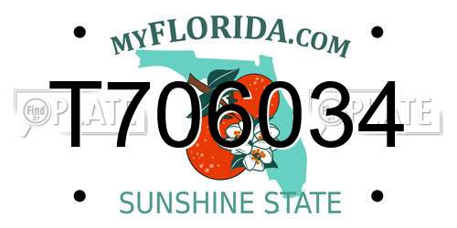 T706034 Florida License Plate
