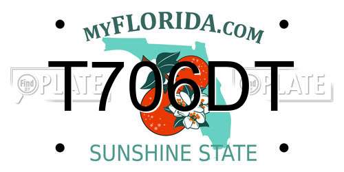 T706DT Florida License Plate