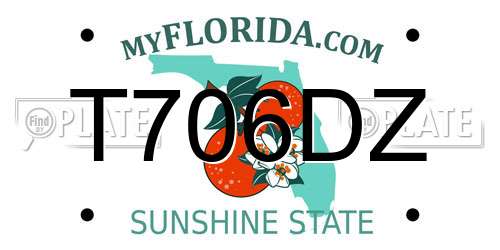 T706DZ Florida License Plate