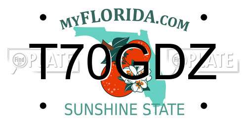 T70GDZ Florida License Plate