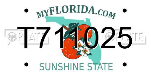 T711025 Florida License Plate
