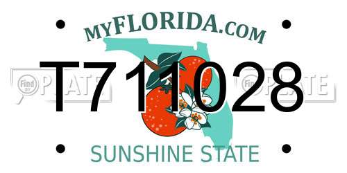 T711028 Florida License Plate