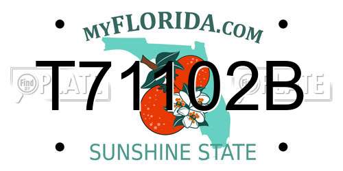 T71102B Florida License Plate