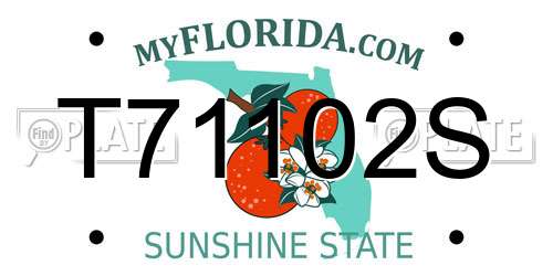T71102S Florida License Plate