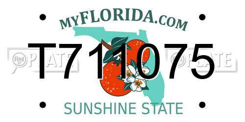 T711075 Florida License Plate