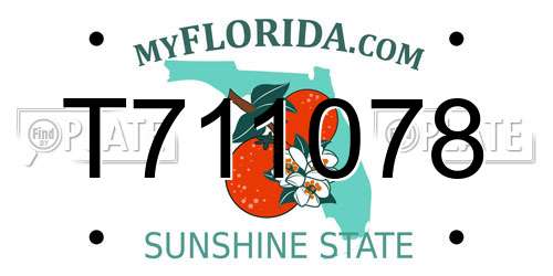 T711078 Florida License Plate