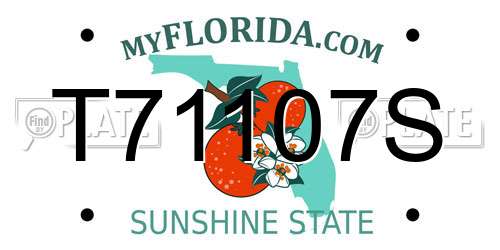 T71107S Florida License Plate