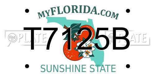 T7125B Florida License Plate