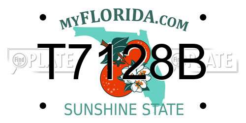 T7128B Florida License Plate