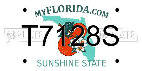 T7128S Florida License Plate