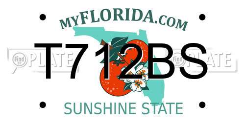 T712BS Florida License Plate